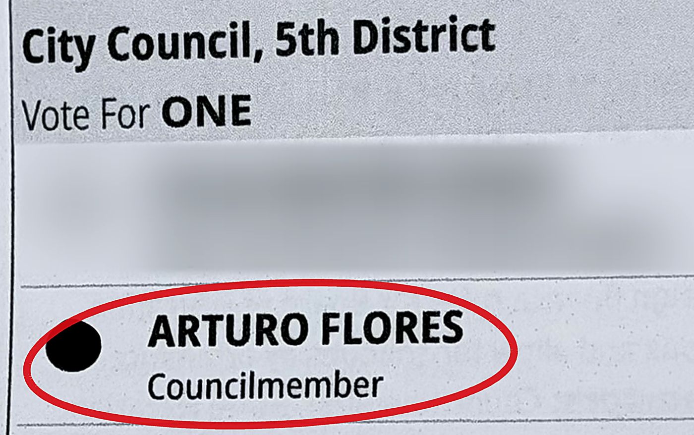 Sample ballot: City Council, 5th District, vote for one, Arturo Flores, Councilmember